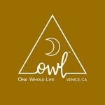 OWL Venice Logo