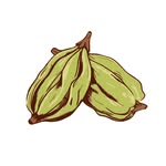 Elaichi Co Logo
