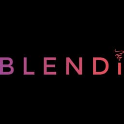 Blendi Logo